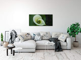 shutterstock_48025231wZb4oBTQ98dsd_1280x1280.jpg