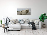 shutterstock_523097605opIzI98NCPl77_1280x1280.jpg