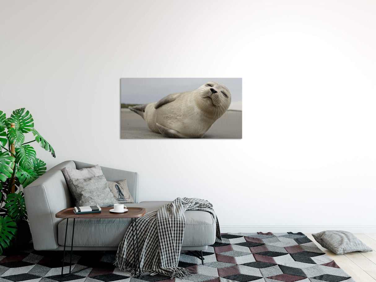shutterstock_523097605yC1vm89zsLJMY_1280x1280.jpg