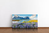 shutterstock_539875846tU8QlgVwwdZeG_1280x1280.jpg