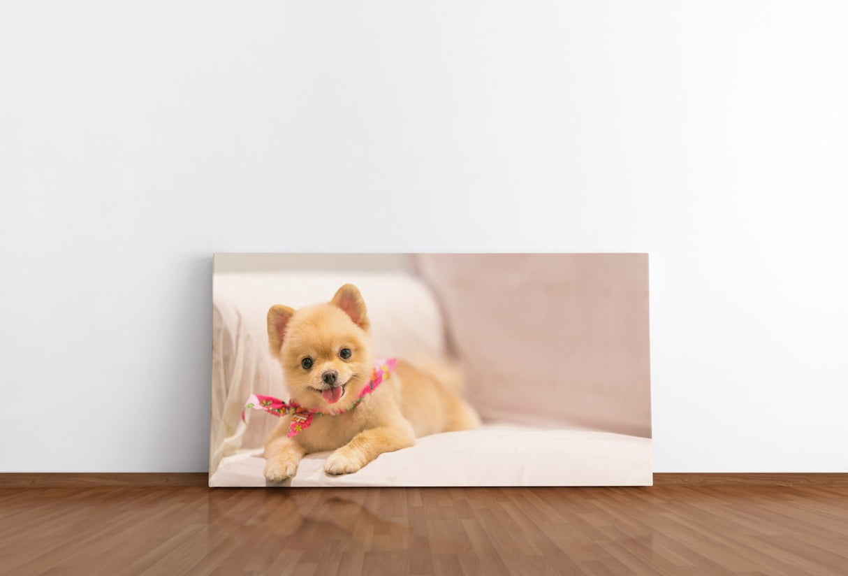 shutterstock_547443472ZWjdc5LsfhUby_1280x1280.jpg