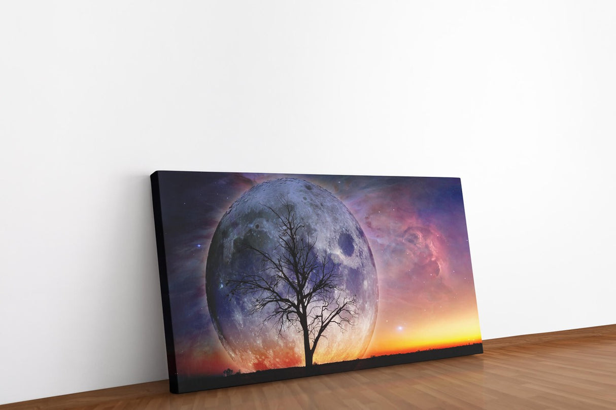 shutterstock_554120659v1wcSA6vrc8vy_1280x1280.jpg