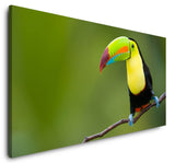 shutterstock_57453022HBUBOF9PBXFxI_1280x1280.jpg