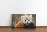 shutterstock_5776617225PTNQEI7dcB9g_1280x1280.jpg