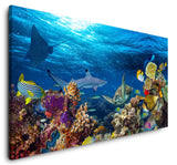 shutterstock_578903656oem0tK5BtRUbo_1280x1280.jpg