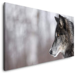 shutterstock_630052394yLa8ljgHQoHEo_1280x1280.jpg
