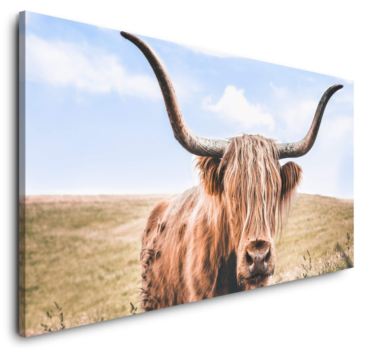 shutterstock_653372059Yr7CI6fdiI32P_1280x1280.jpg