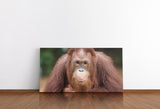 shutterstock_664748389dbutwvUGIIHOG_1280x1280.jpg