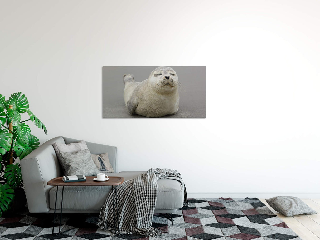 shutterstock_681142018L9Xiy7lT6R4He_1280x1280.jpg