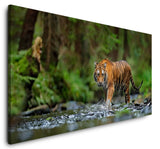 shutterstock_694592521EOfBMSheVdt2F_1280x1280.jpg