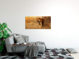 shutterstock_696476371cEnCZ7PsFEaPN_1280x1280.jpg