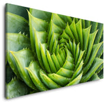 shutterstock_719652712x9Y3O56yo1Vye_1280x1280.jpg