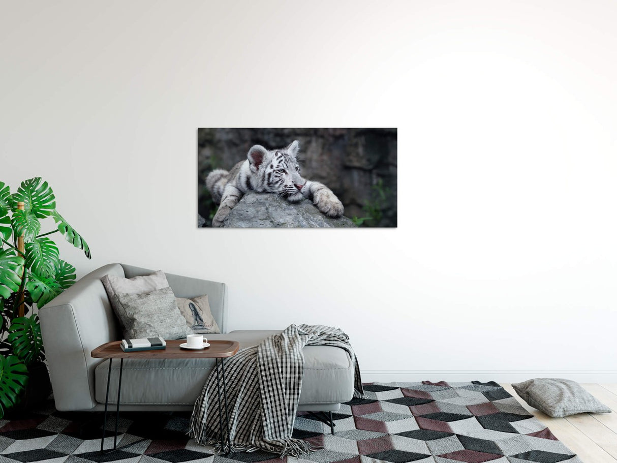 shutterstock_77629105JAhIhwWcV4w69_1280x1280.jpg