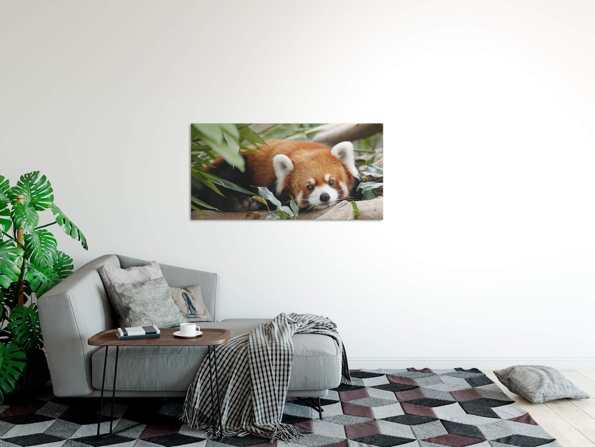 shutterstock_780819982ar2mN4aMav2fB_1280x1280.jpg