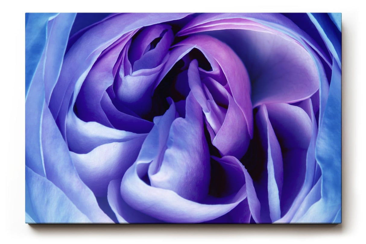 Sinus Art Wandbild 120x80cm Abstrakte Blütenstruktur in Violett- und Blautönen – sinnlich, edel und modern