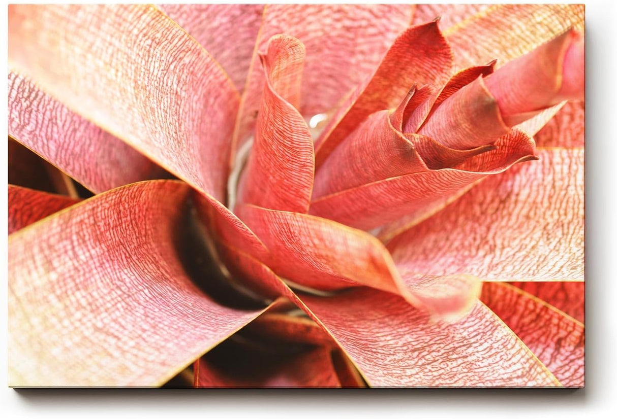 Sinus Art Wandbild 120x80cm Abstrakte Makroaufnahme einer roten Pflanze – organisch, dynamisch und einzigartig