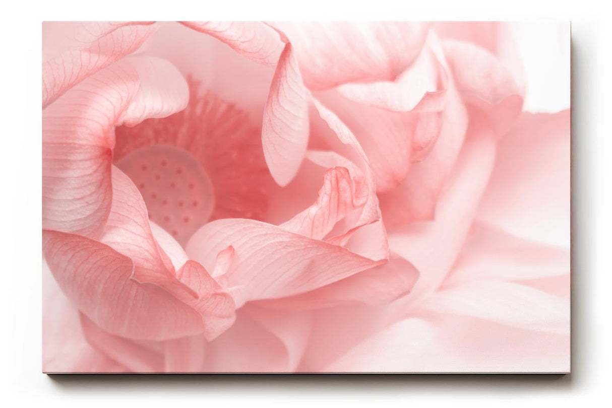 Sinus Art Wandbild 120x80cm Abstrakte Makroperspektive einer Lotusblüte – kunstvoll und symbolisch zugleich