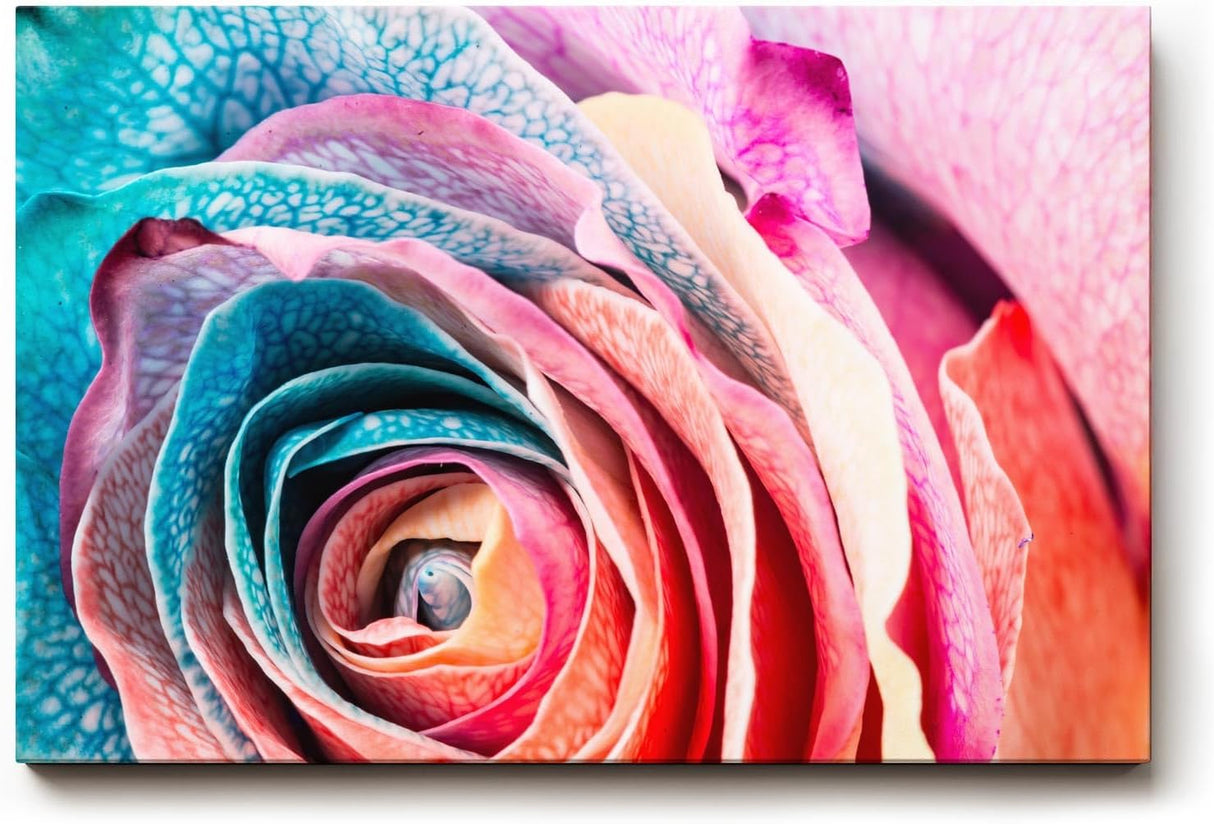 Sinus Art Wandbild 120x80cm Intensive Nahaufnahme einer vielfarbigen Rose mit einzigartiger Blattstruktur
