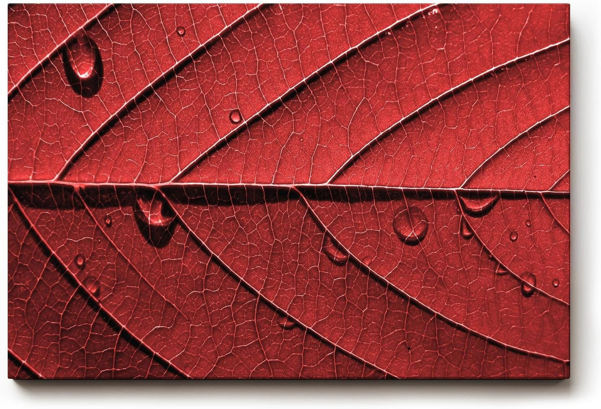 Sinus Art Wandbild 120x80cm Perfektes Motiv für alle, die grafische Naturästhetik mit Eleganz verbinden