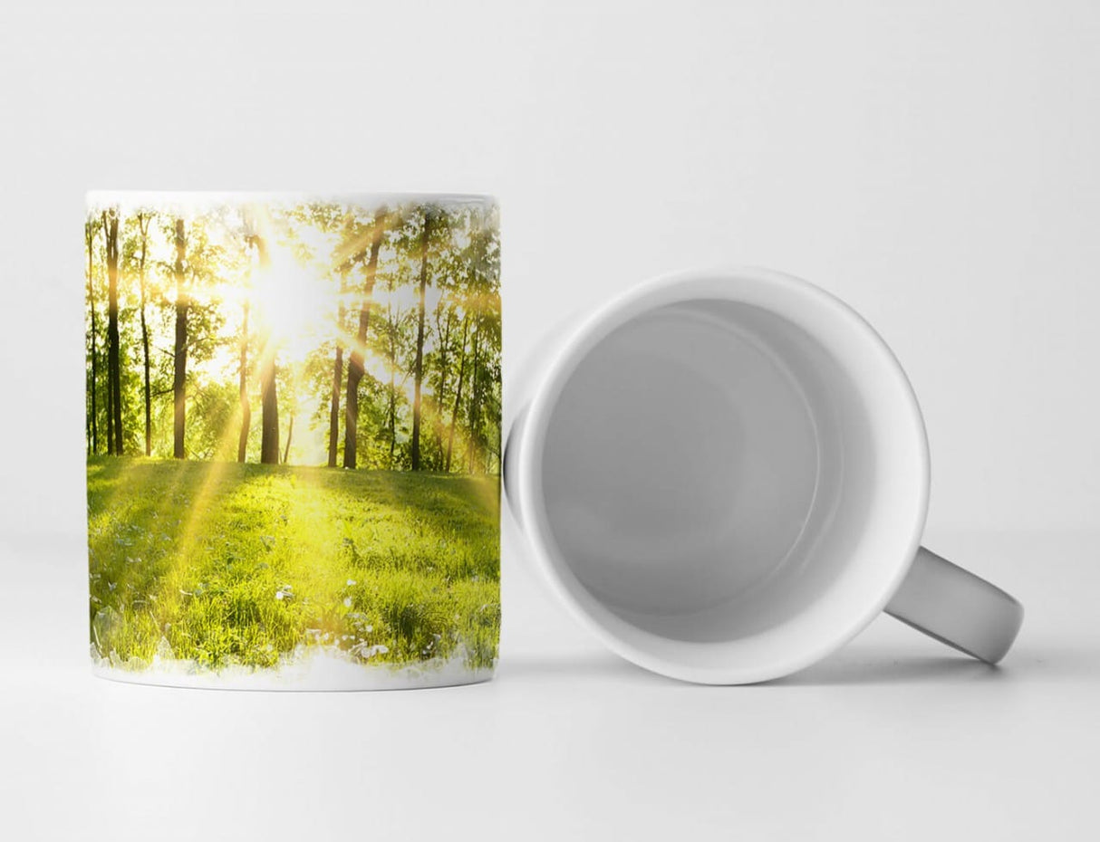 130197554_TASSE6uW2n2MxsSEc9_1280x1280.jpg
