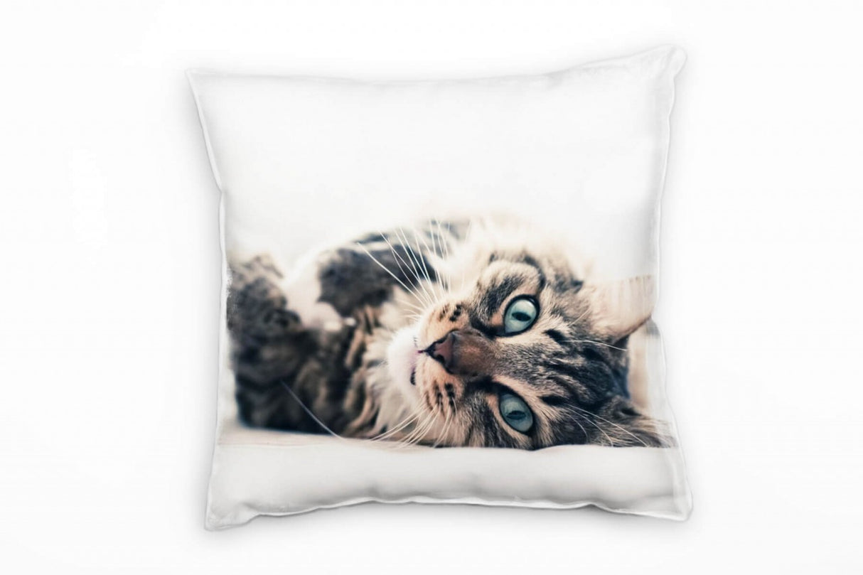 248998057_1280x1280.jpg