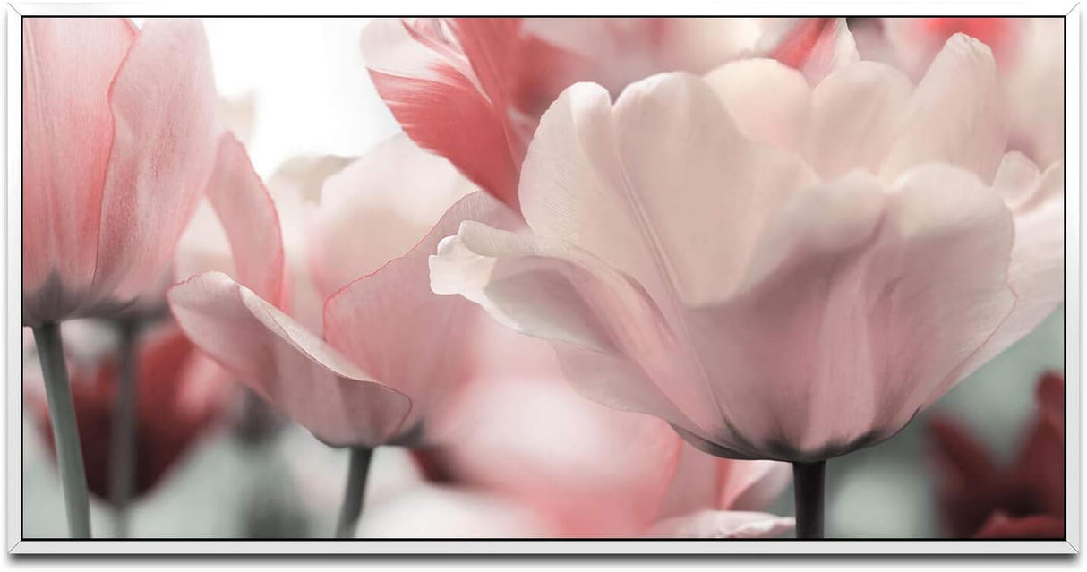 Tulpen ca. 130x70cm Wandbild inklusive Schattenfugenrahmen weiss - Panorama Leinwand Bild XXL Format Wandbilder Wohnzimmer Wohnung Deko Kunstdrucke