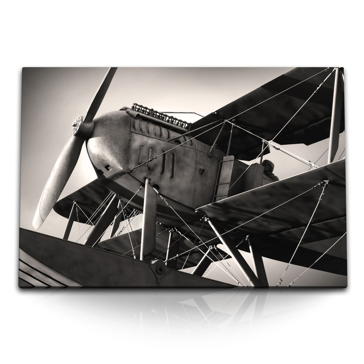 STOCKS_0038dp7oIBQdx52sm_1280x1280.jpg