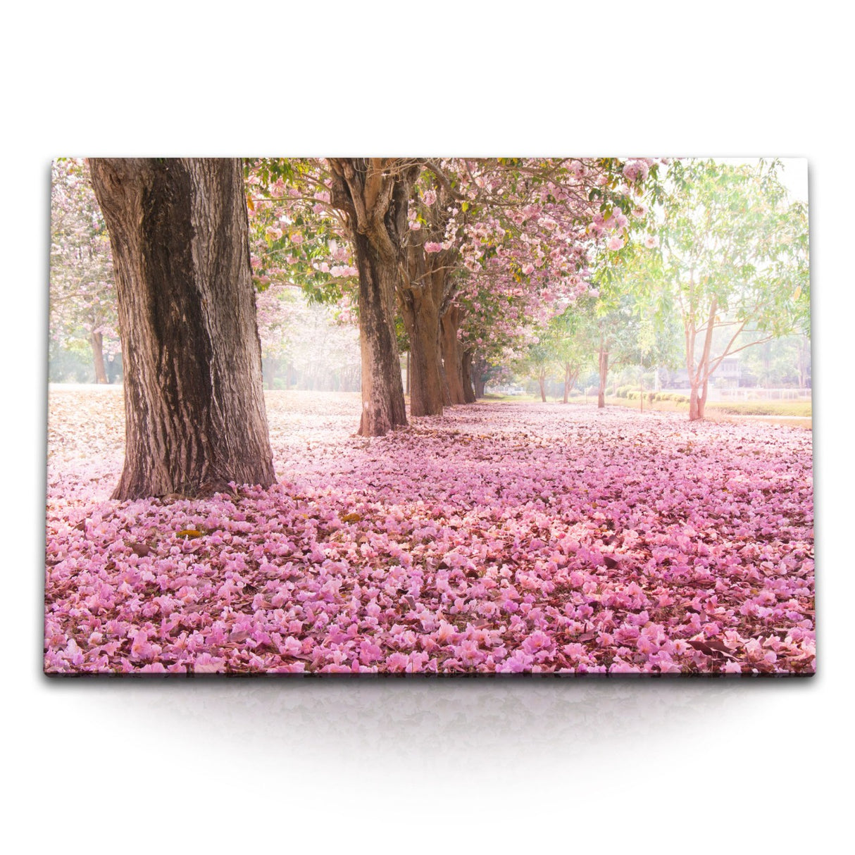 STOCKS_0865Kjdqfp7RE61jU_1280x1280.jpg