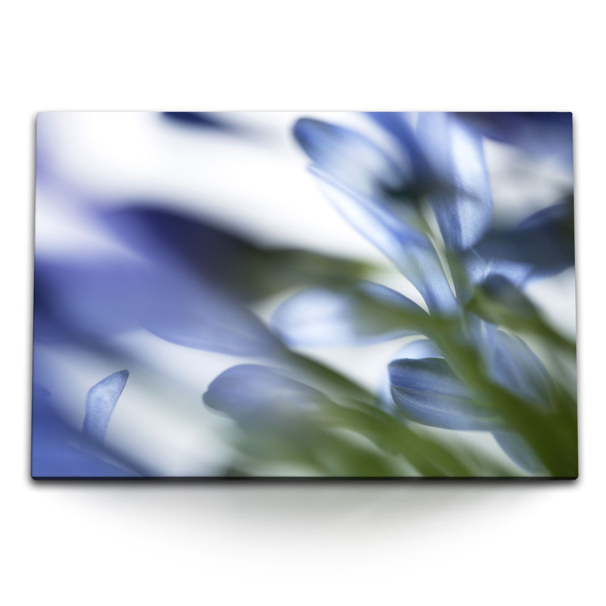STOCKS_114878mqDVLtnmUfb_1280x1280.jpg
