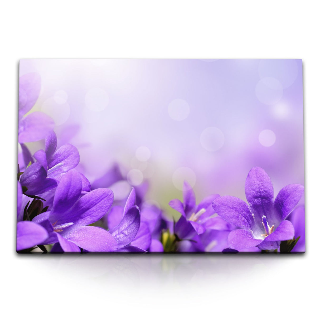STOCKS_1016g03cDlibGc67O_1280x1280.jpg