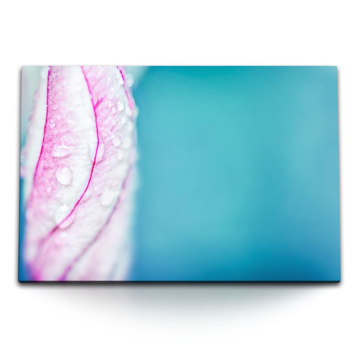 STOCKS_1370ESMef5dvWavI1_1280x1280.jpg