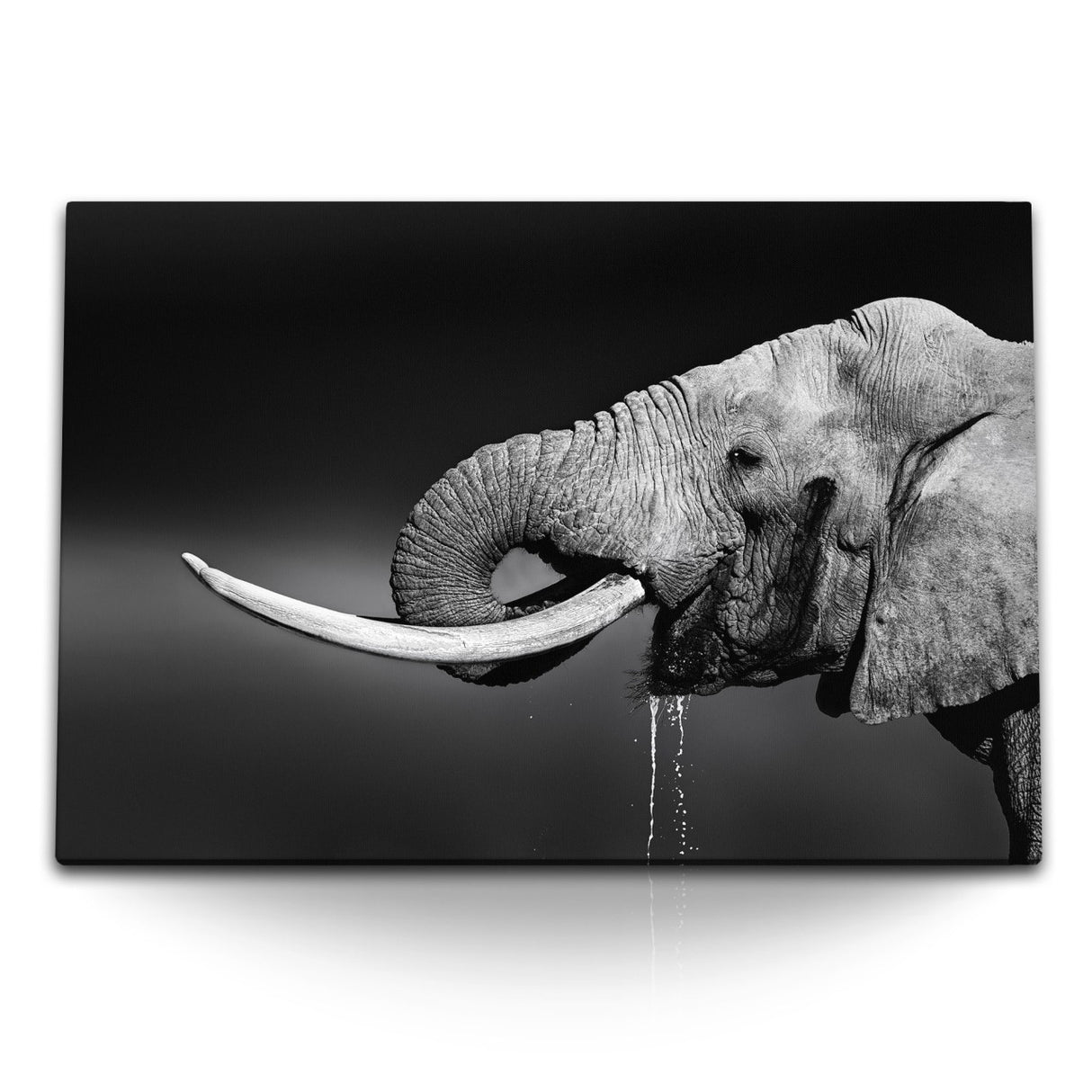 STOCKS_1996ixQ8tFMExlt6E_1280x1280.jpg