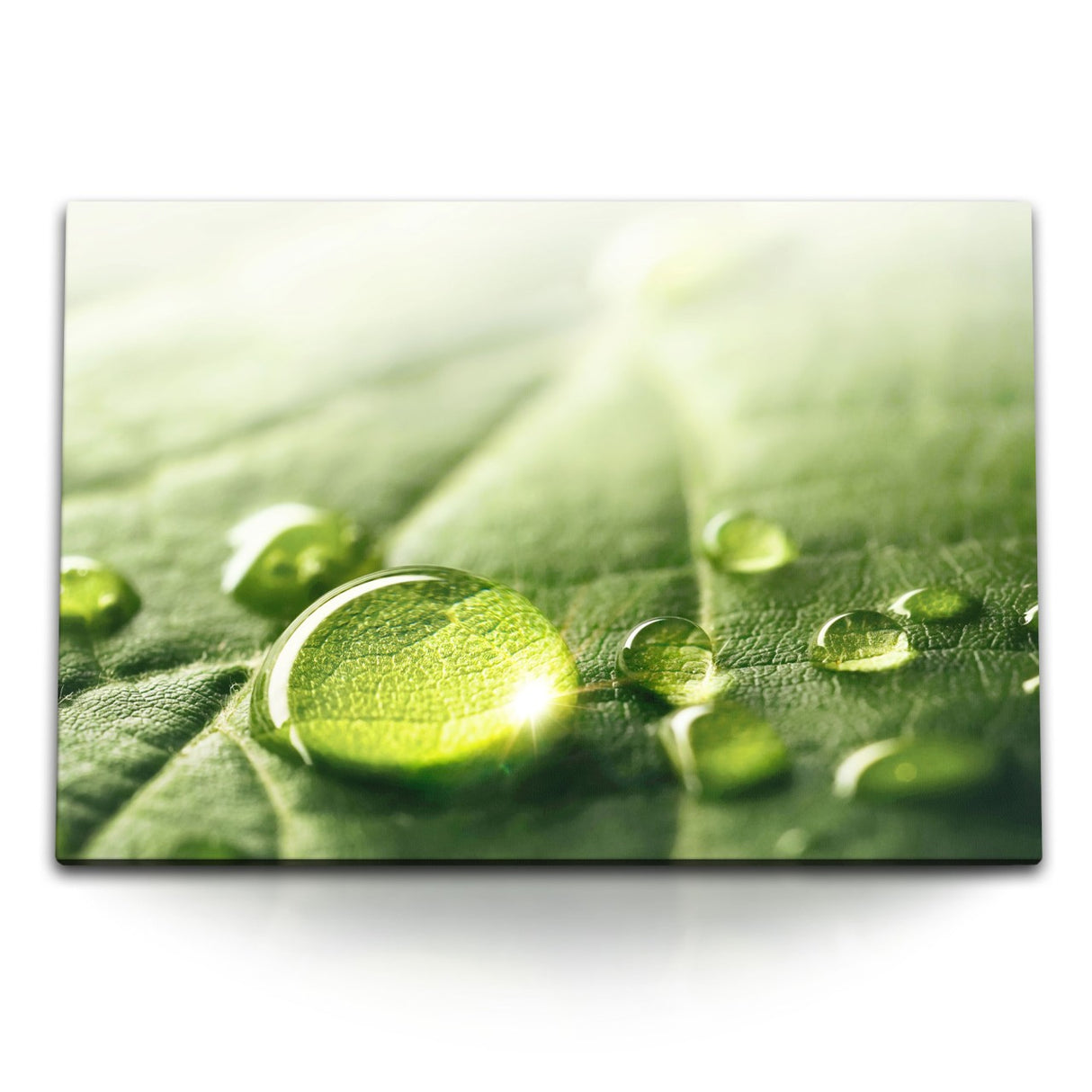 STOCKS_1358uTENgFErU6vBn_1280x1280.jpg