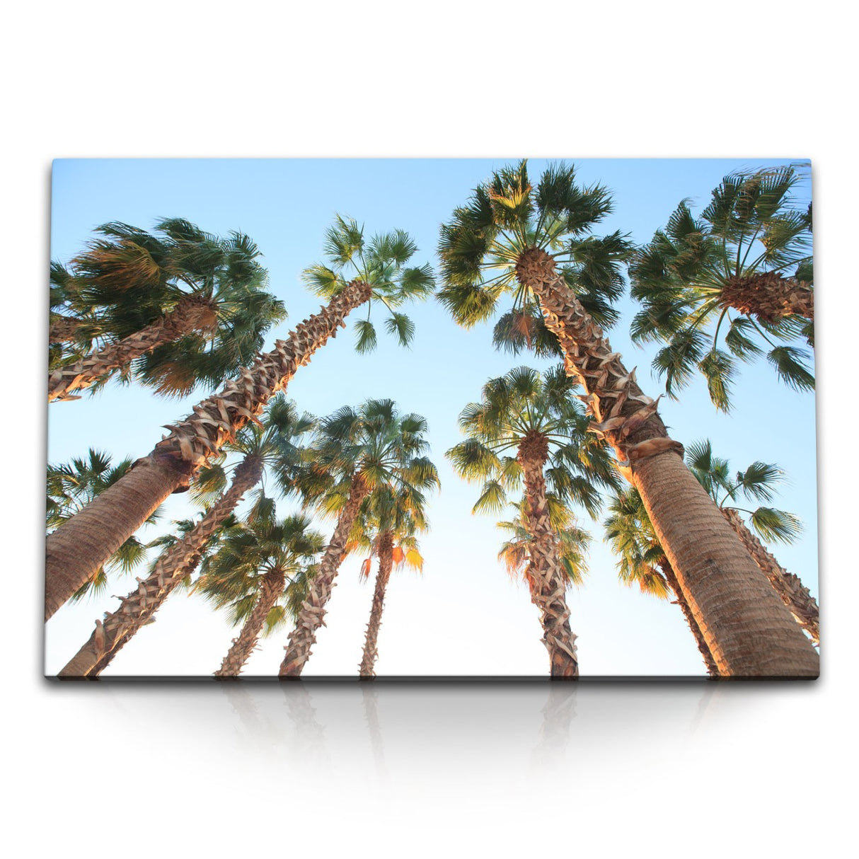 STOCKS_0372yZAoZE7RRWPN2_1280x1280.jpg