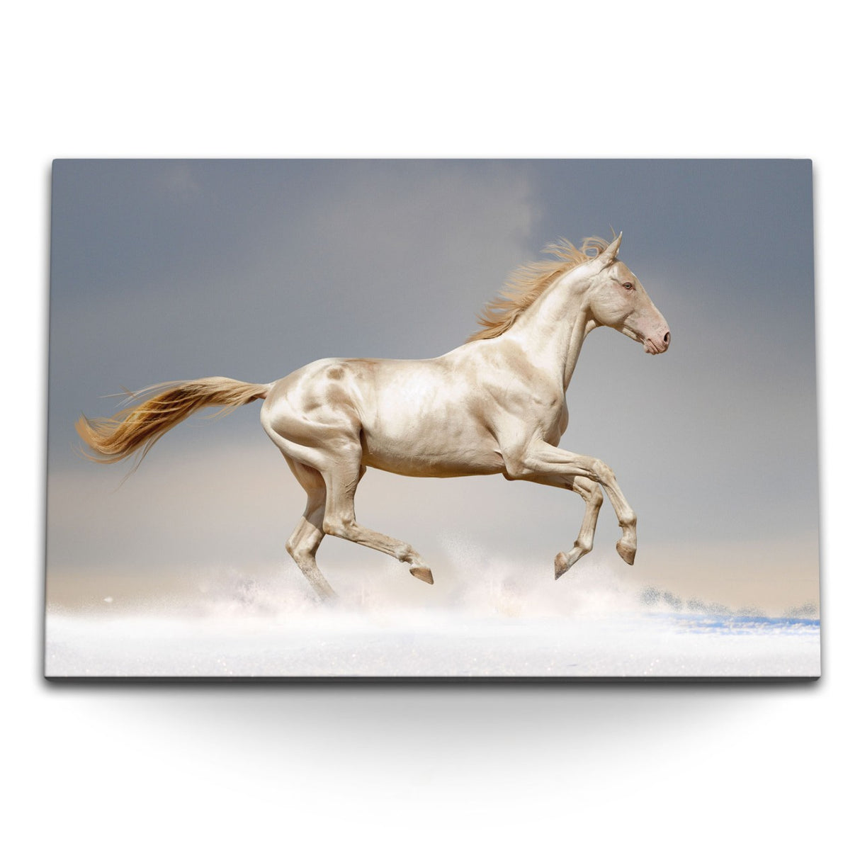 STOCKS_12274ApDzniYIVpN8_1280x1280.jpg