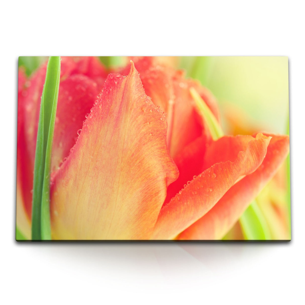 STOCKS_15848vNTTpQyM9EVo_1280x1280.jpg
