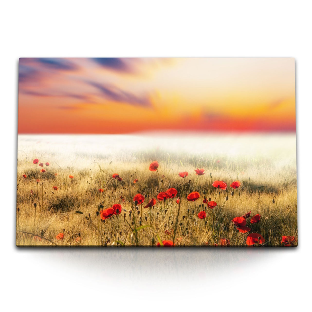 STOCKS_0564dWyX6ALQ8LNFB_1280x1280.jpg