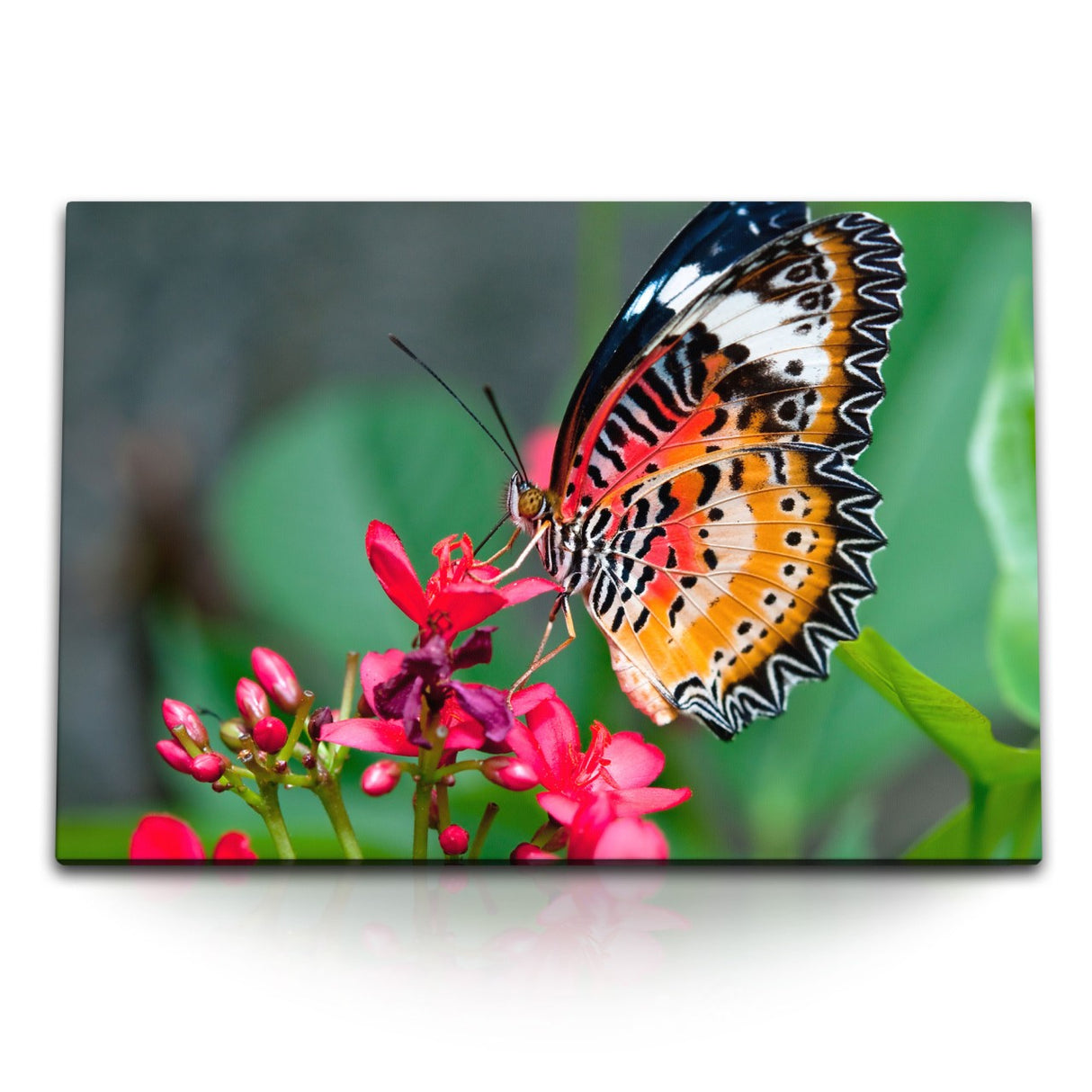 STOCKS_03985rx3nTLSfCHyn_1280x1280.jpg