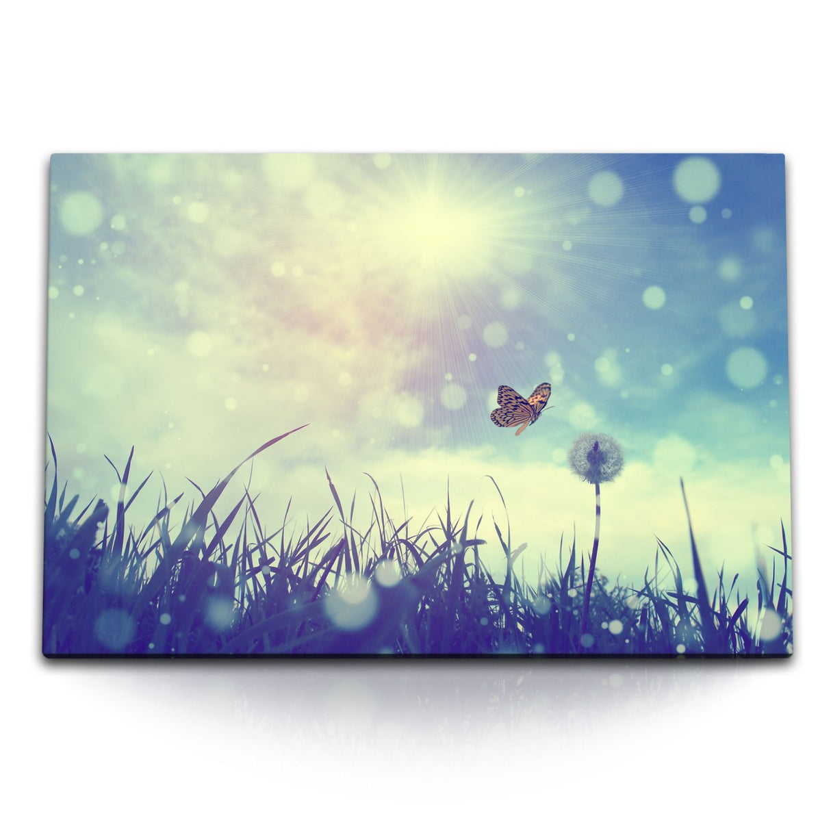 STOCKS_0169ALjNBM1JOSbT4_1280x1280.jpg