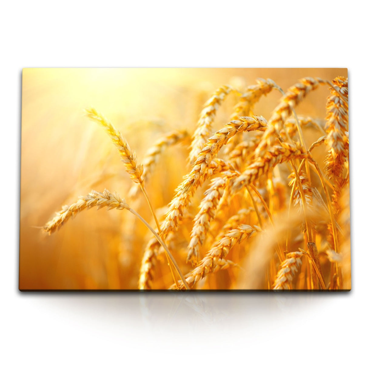 STOCKS_2323xq8s685a6dLmf_1280x1280.jpg