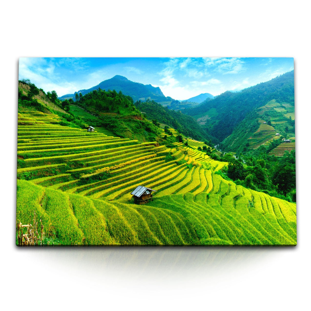 STOCKS_1197HpId30vmAZdHN_1280x1280.jpg