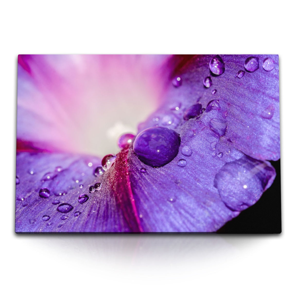 STOCKS_1271Gq1HOElW7e27U_1280x1280.jpg