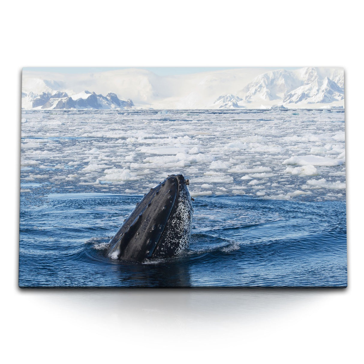 STOCKS_1858GbX6BiWFoCvYG_1280x1280.jpg