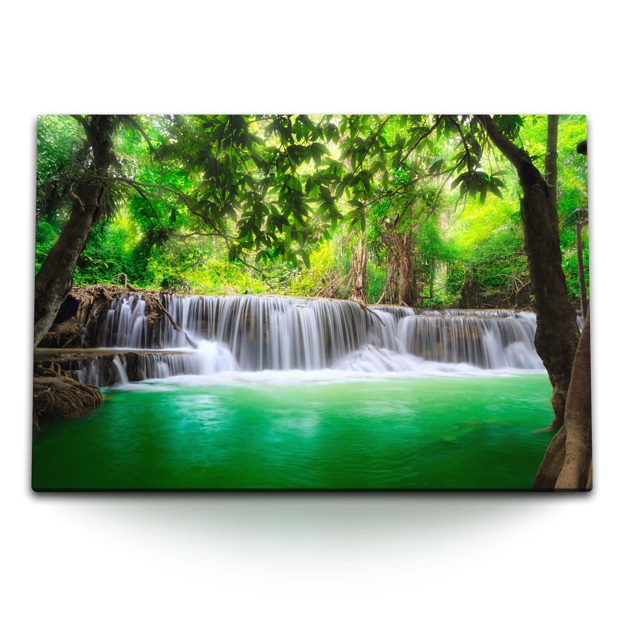 STOCKS_0780BrENWYrizdJqt_1280x1280.jpg