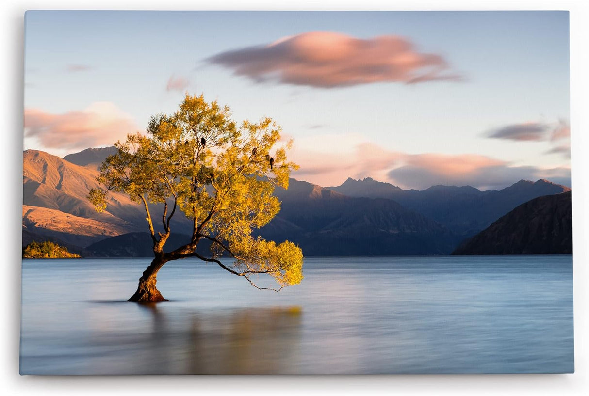 Paul Sinus Wandbild 120x80cm Baum im Wasser See Berge Natur Vögel