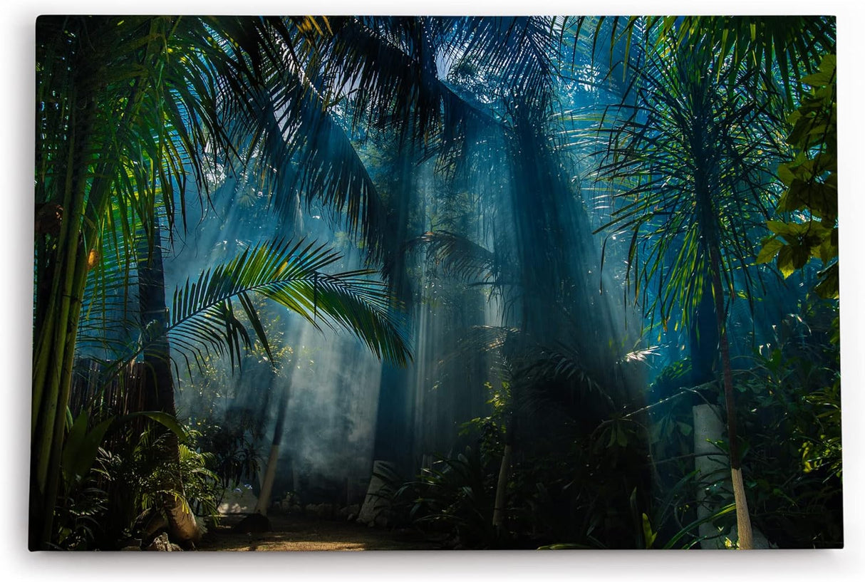 Paul Sinus Wandbild 120x80cm Dschungel Palmen Tropisch Lichtstrahlen Grün Bäume
