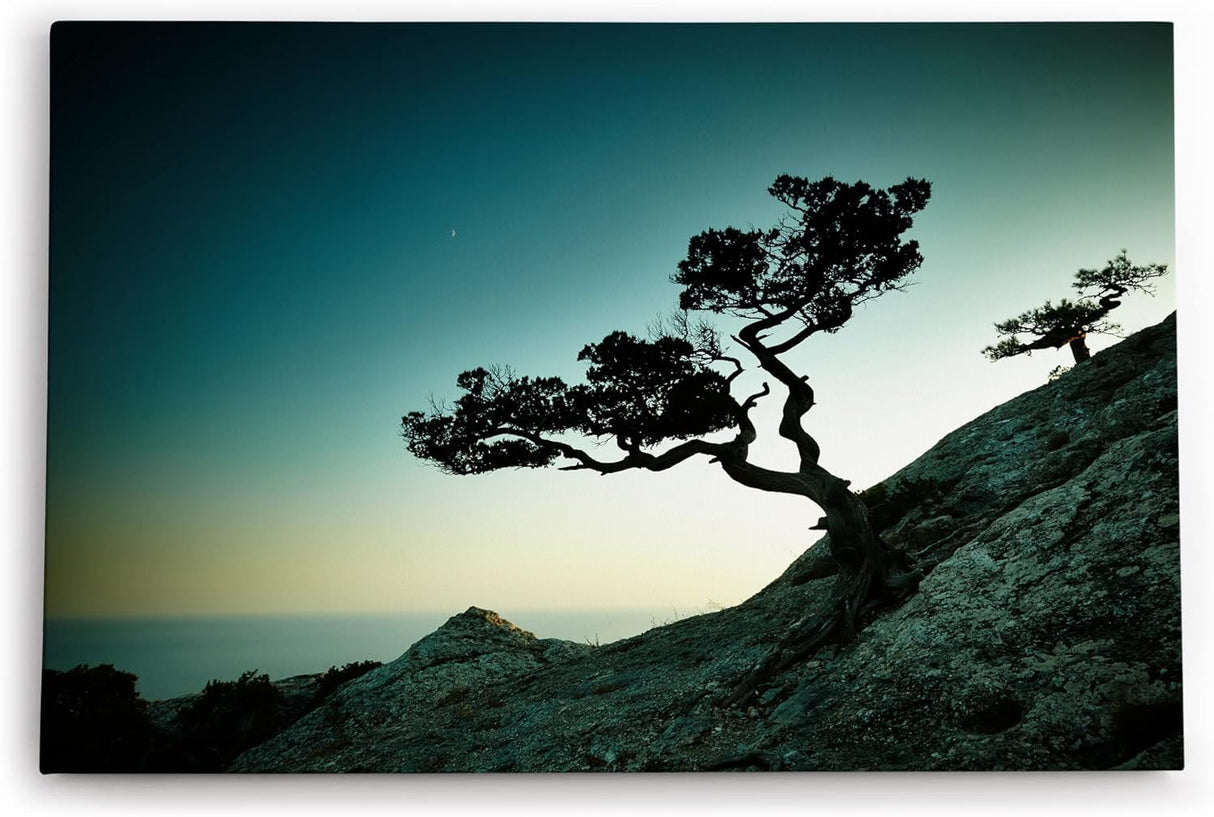 Paul Sinus Wandbild 120x80cm Sächsische Schweiz Baum Felsen Felsbaum Abend Fotokunst