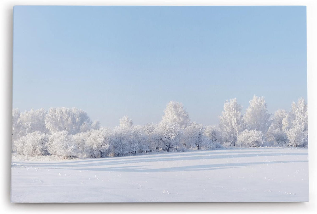 Paul Sinus Wandbild 120x80cm Schneelandschaft Schnee Bäume Weiß Winter
