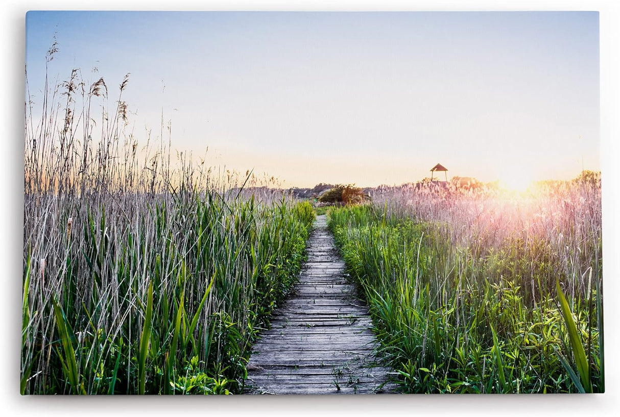 Paul Sinus Wandbild 120x80cm Sommer Sonnenaufgang Holzweg Natur Gras Strandweg