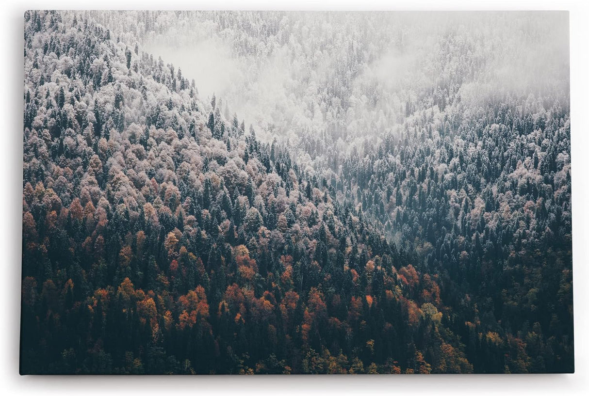 Paul Sinus Wandbild 120x80cm Tannenwald Wald Berg Natur Bäume Nebel Kunstvoll
